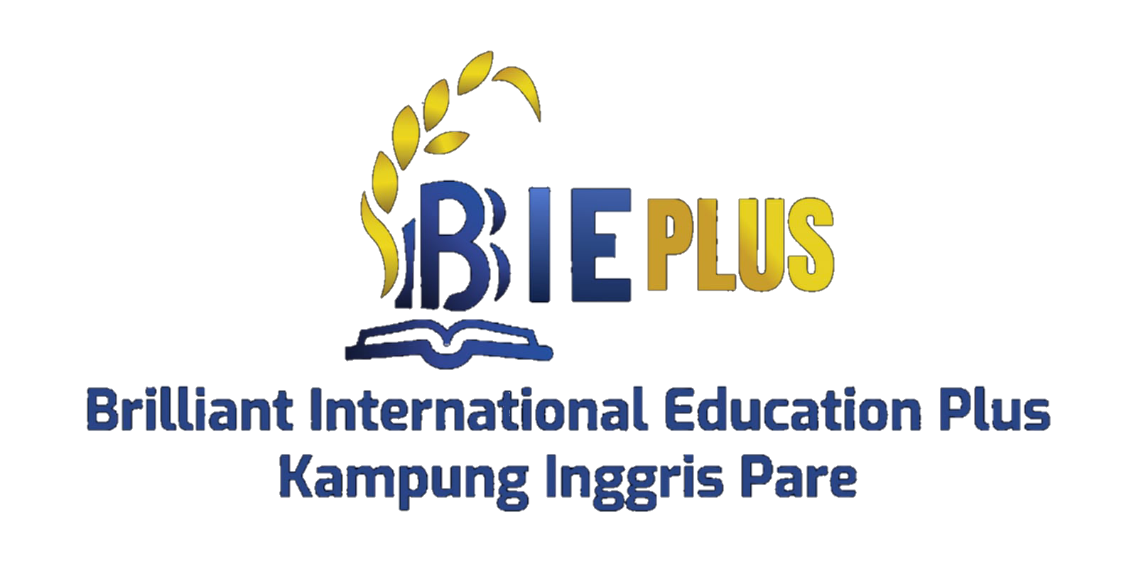 Logo 1